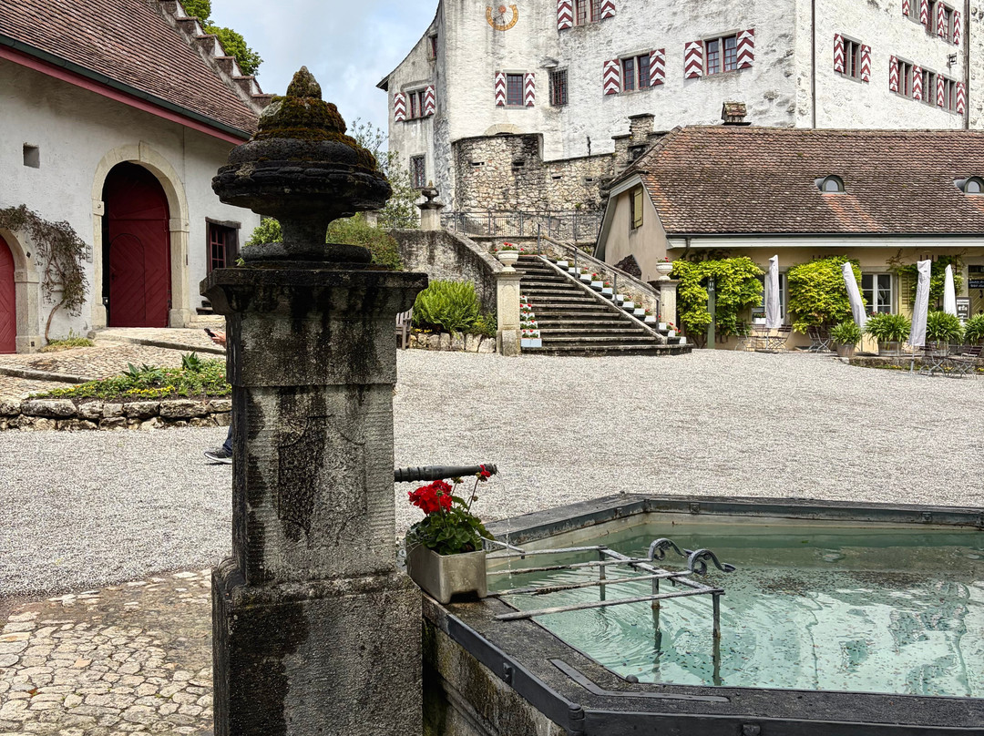 Schloss Wildegg-Wildegg必去景点