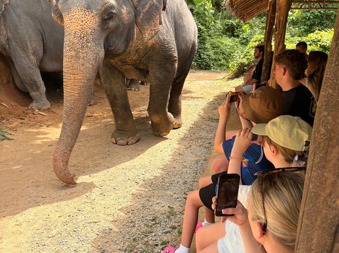 Hidden Forest Elephant Reserve-查龙必去景点