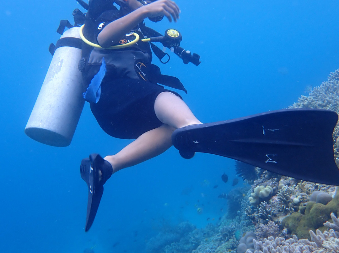 Menjangan Tour Snorkeling & Diving-Pejarakan必去景点