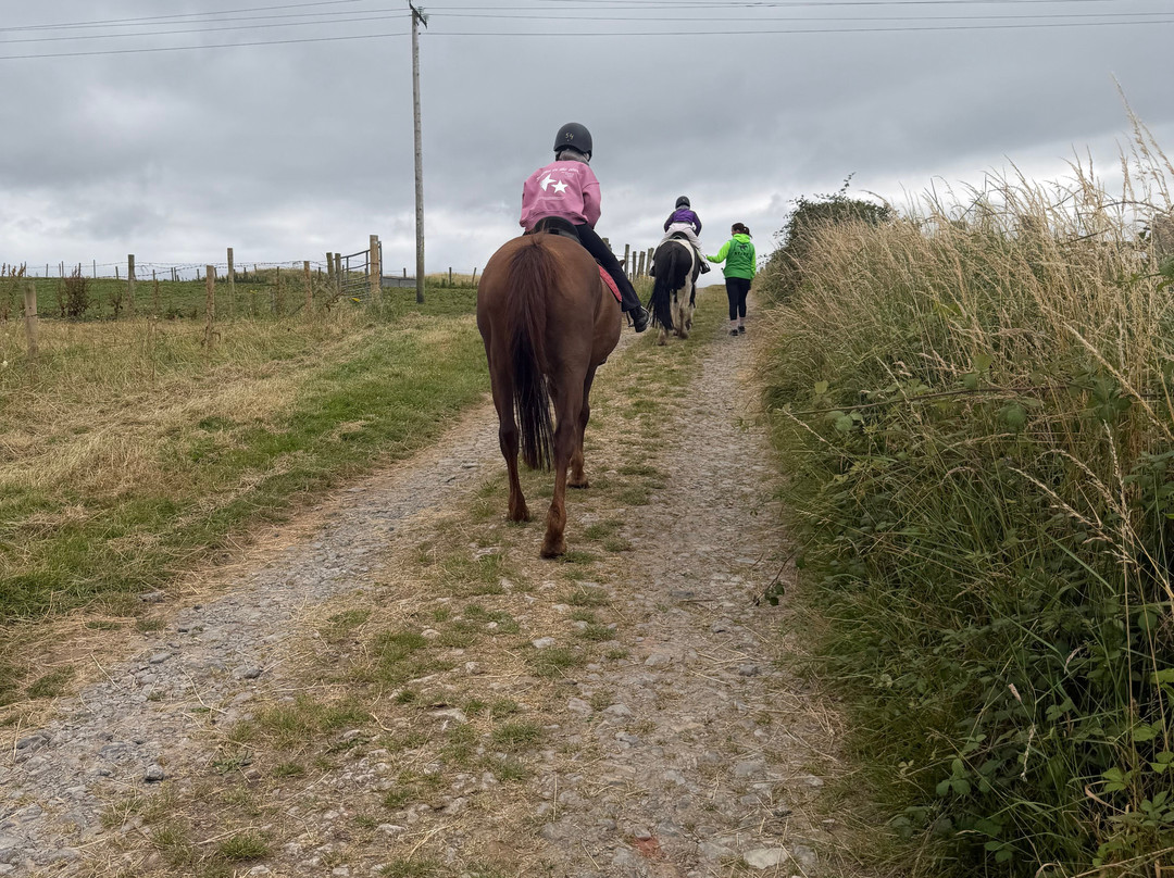 Donegal Equestrian Centre-Bundoran必去景点