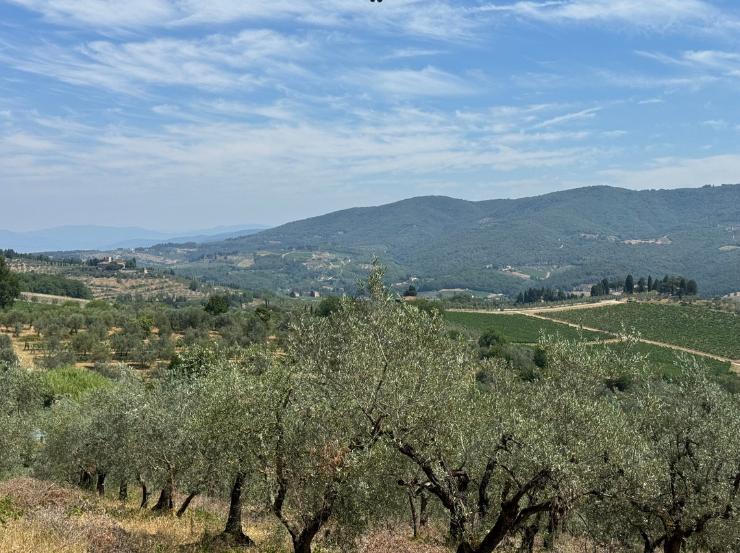 Scenic wine tours in Tuscany-Loro Ciuffenna必去景点