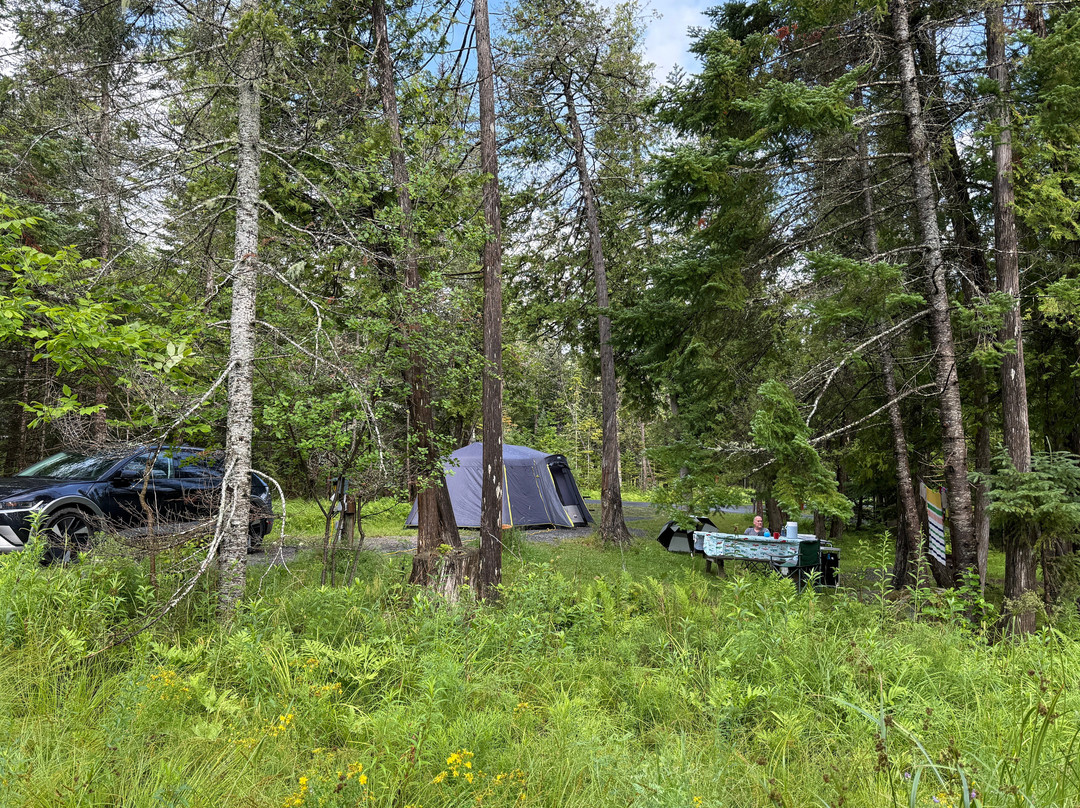 Mactaquac Provincial Park-Mactaquac必去景点