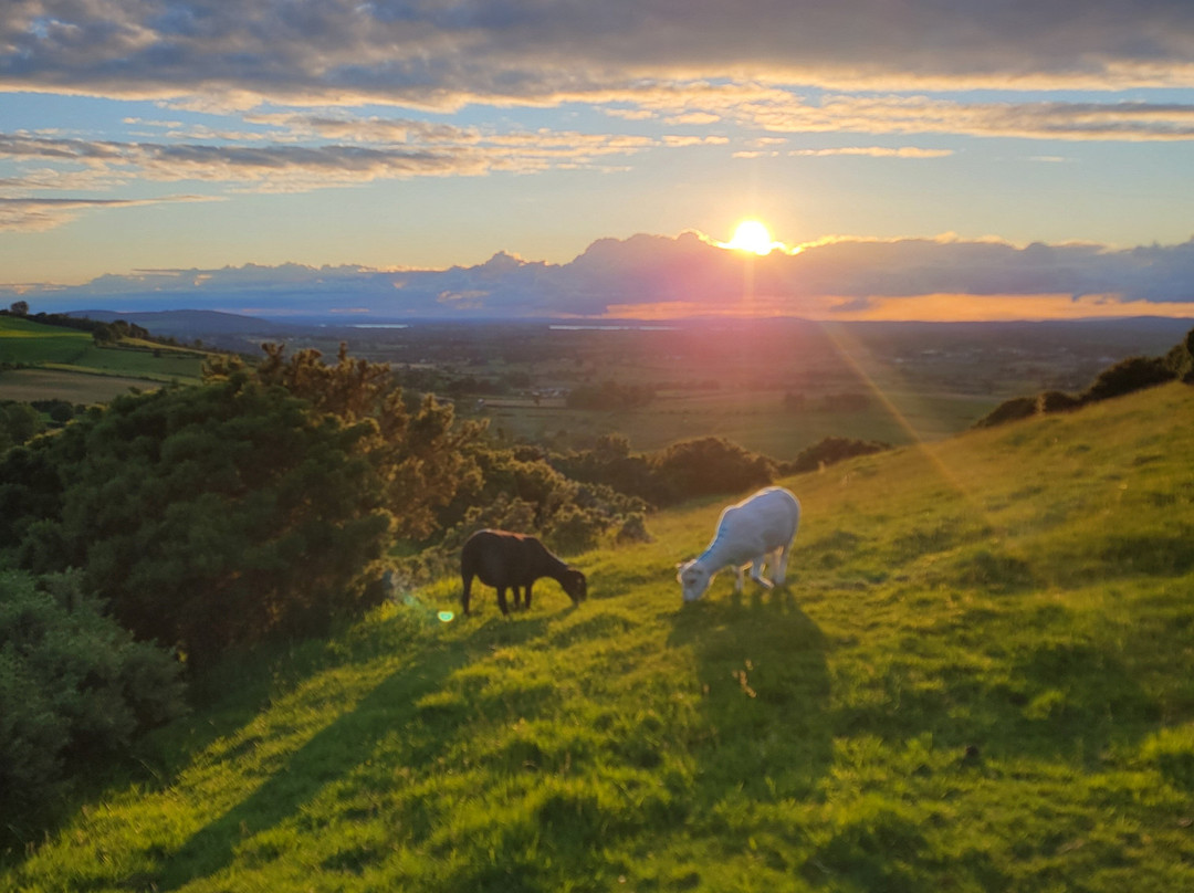Loughcrew Cairns-Oldcastle必去景点