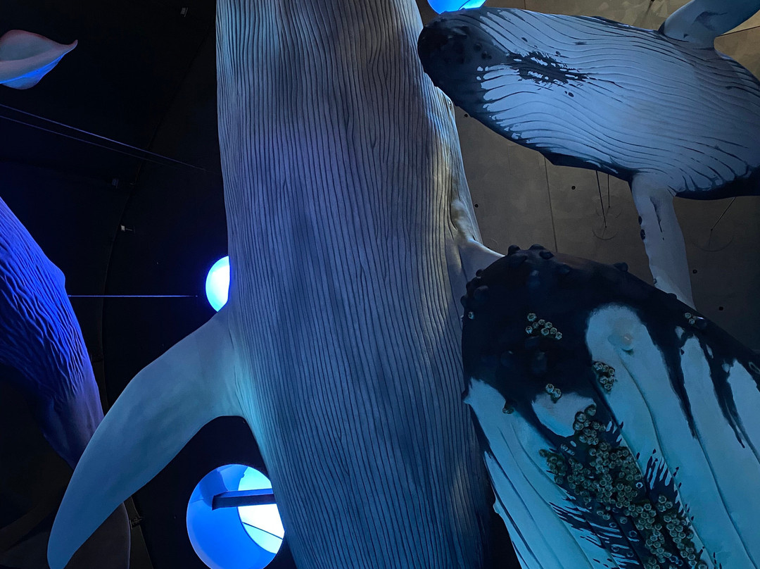 Ozeaneum-施特拉尔松德必去景点