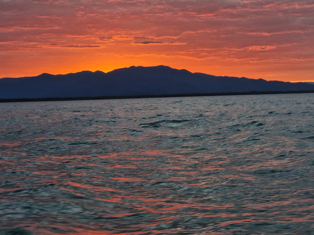 Hinchinbrook Island Cruises-卡德威尔必去景点