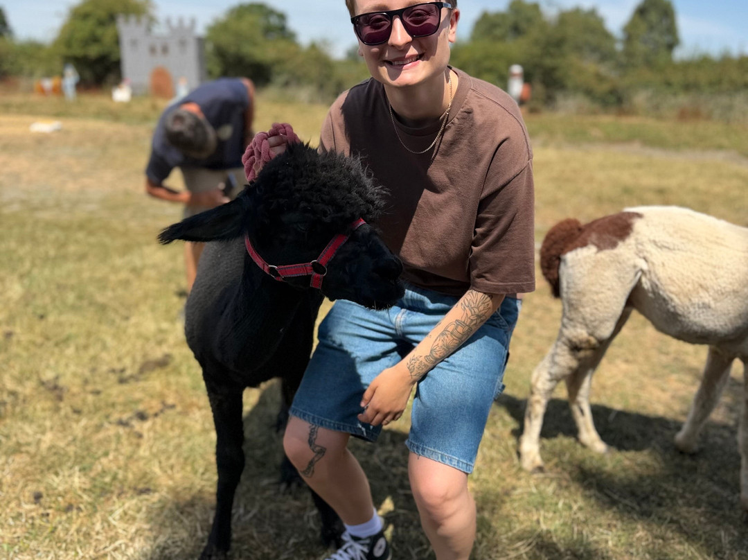 Lucky Tails Alpaca Farm-Atherstone必去景点