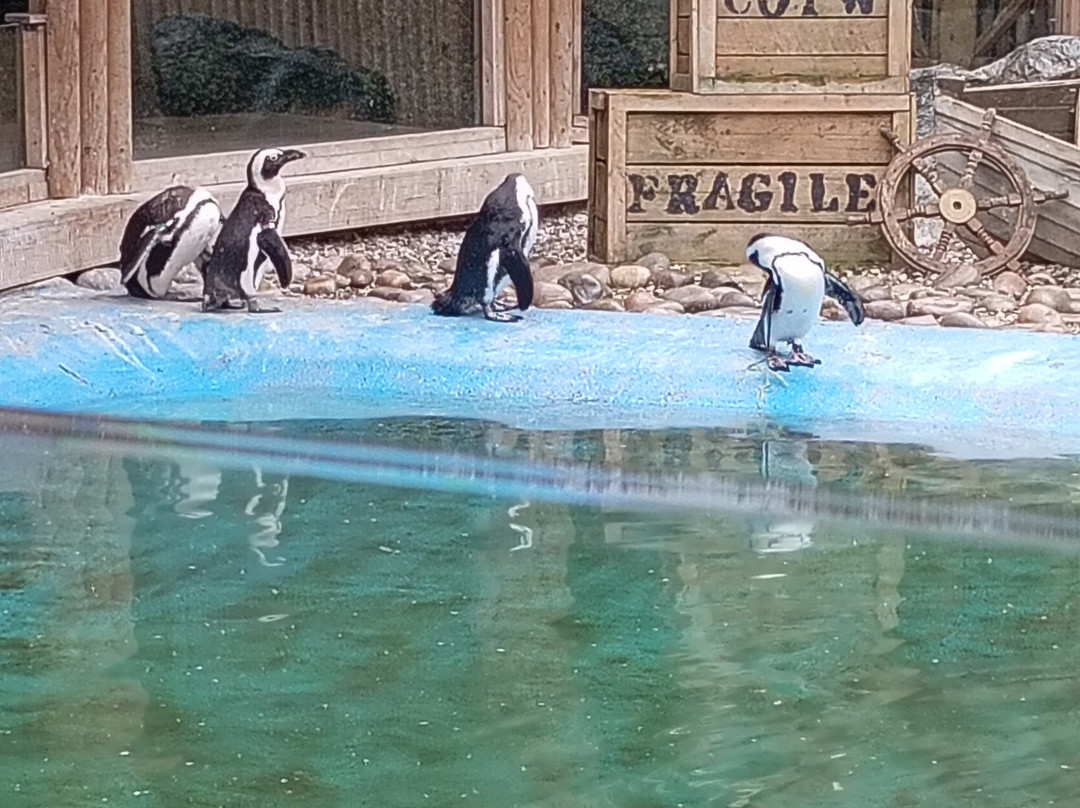 Call Of The Wild Zoo-South Woodham Ferrers必去景点