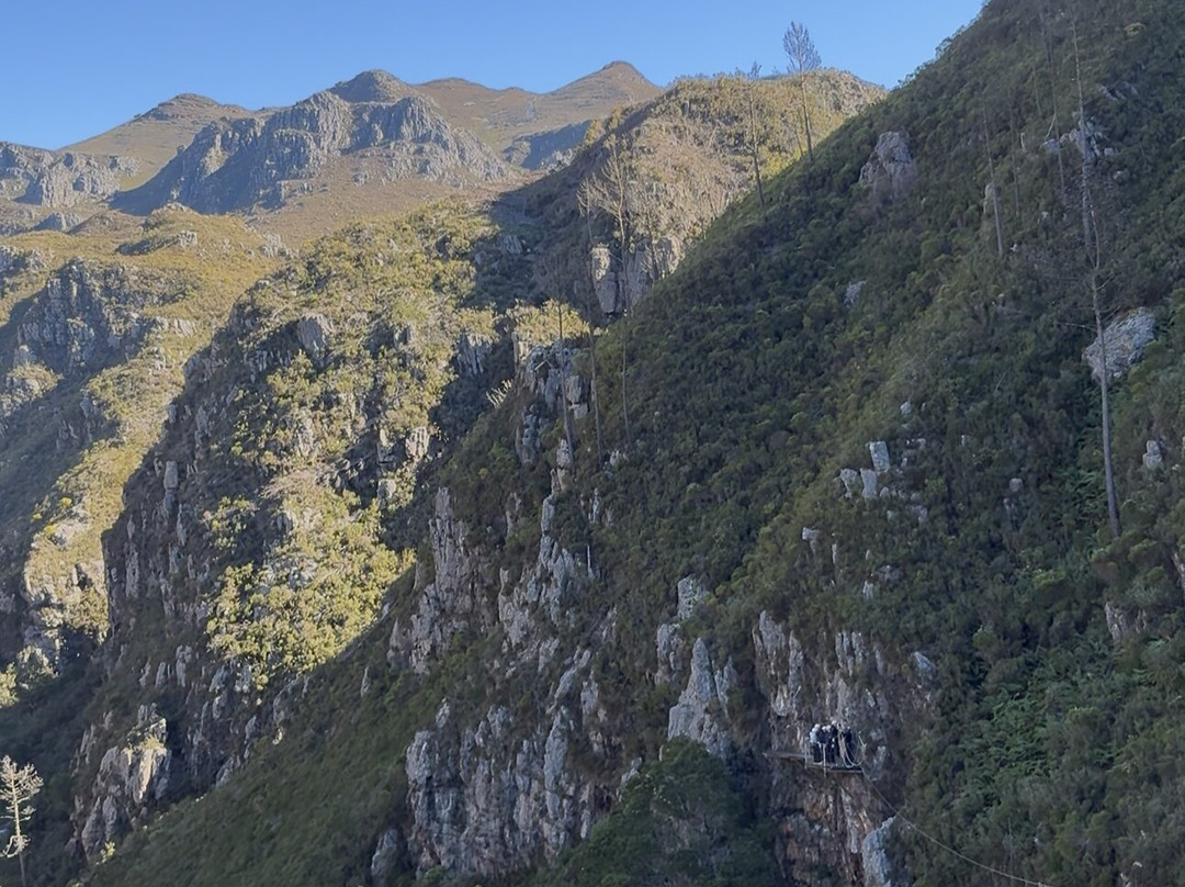 Cape Canopy Tour-Elgin必去景点