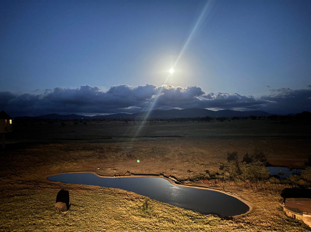Marco Polo Safaris-迪亚尼必去景点