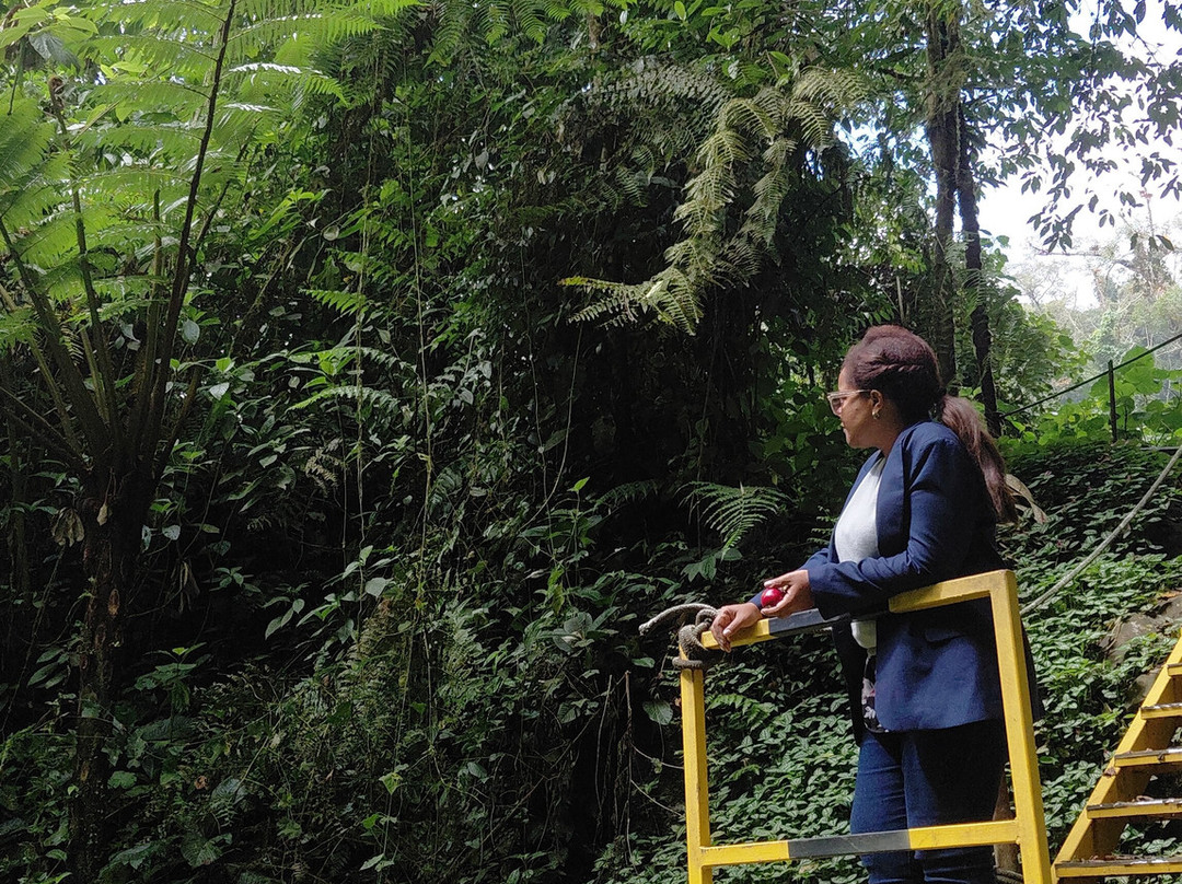 Bajo Mono Camping Site Cascada El Tatica-波魁特必去景点