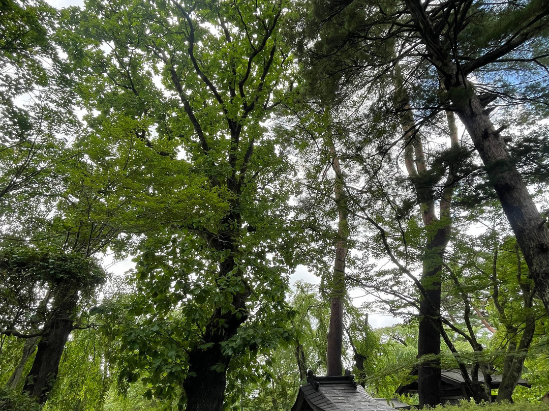 Iwahashi Samurai House-仙北市必去景点