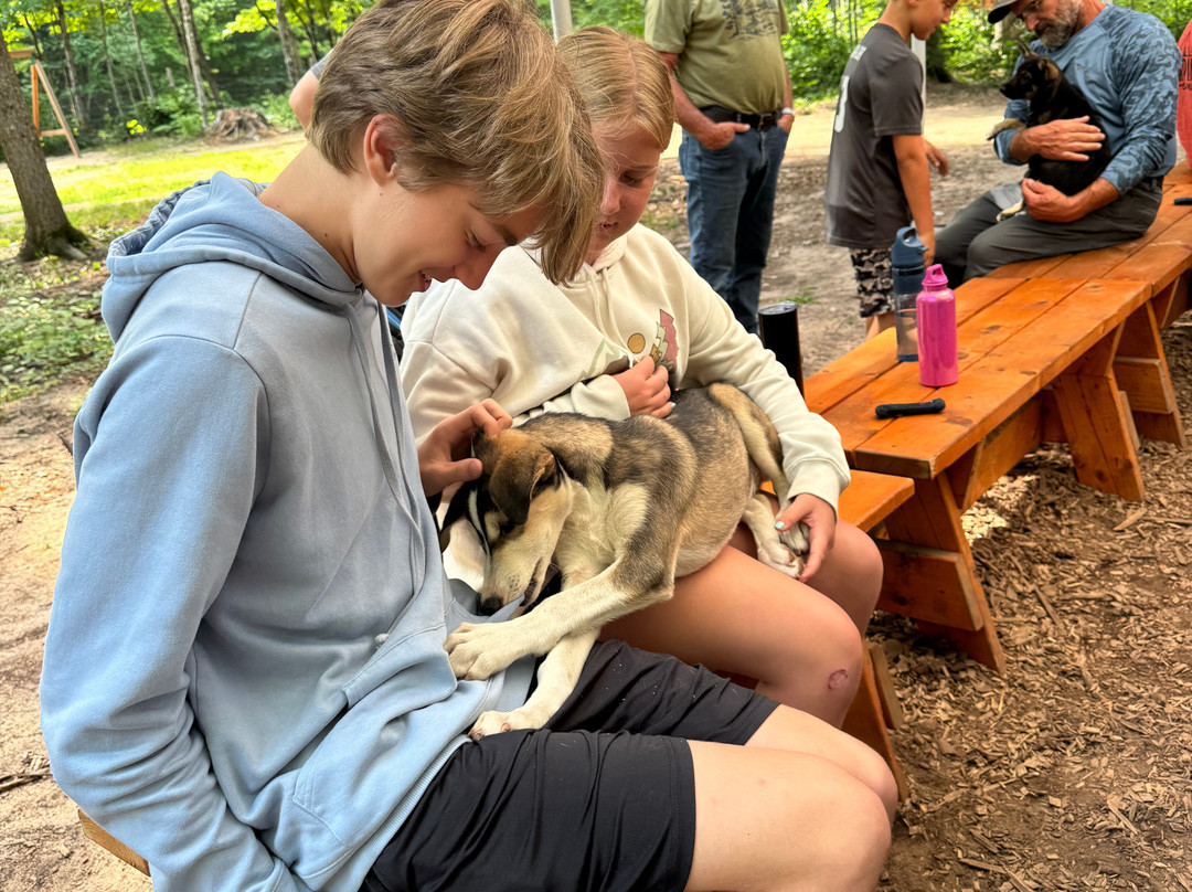 MIDOG - Michigan's Summer Sled Dog Center-Newberry必去景点