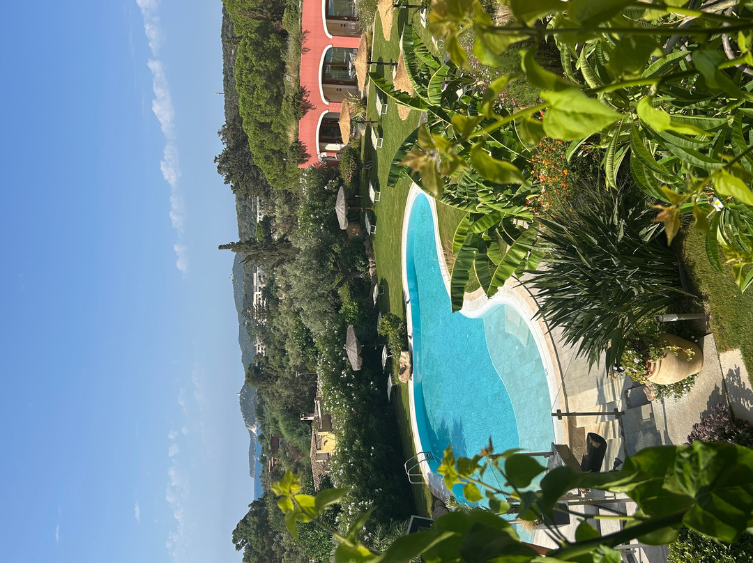 Hotel Mariposas主图