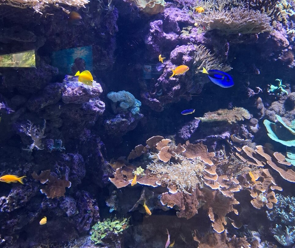 丹麦国家水族馆-哥本哈根必去景点
