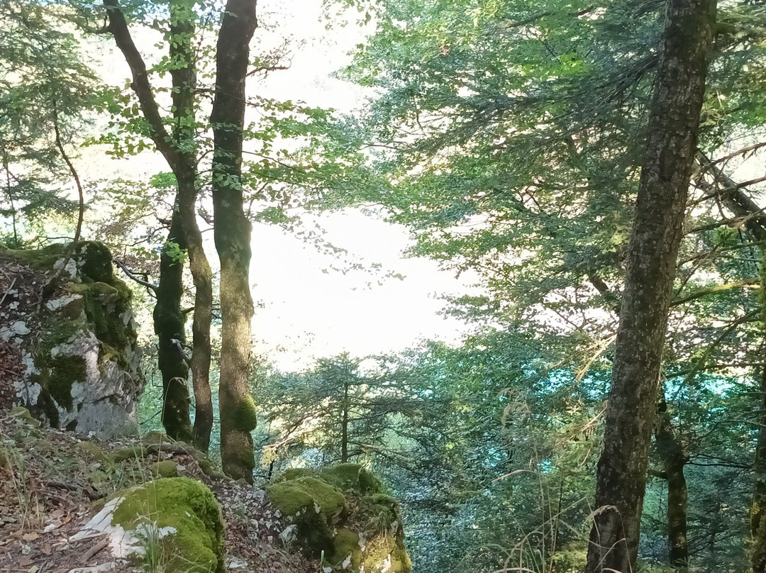 Pic de l'Aigle-La Chaux-du-Dombief必去景点