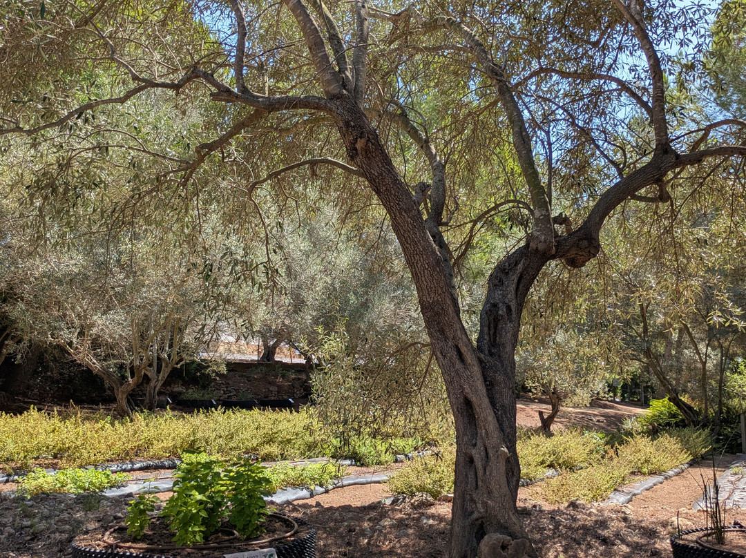 Botanical Garden Ecoherbes Park-L'Ampolla必去景点