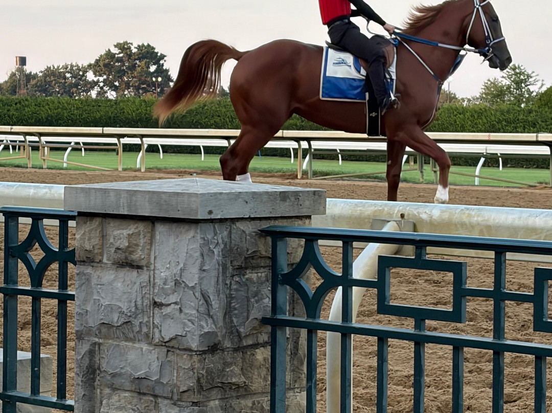 Keeneland-列克星敦必去景点
