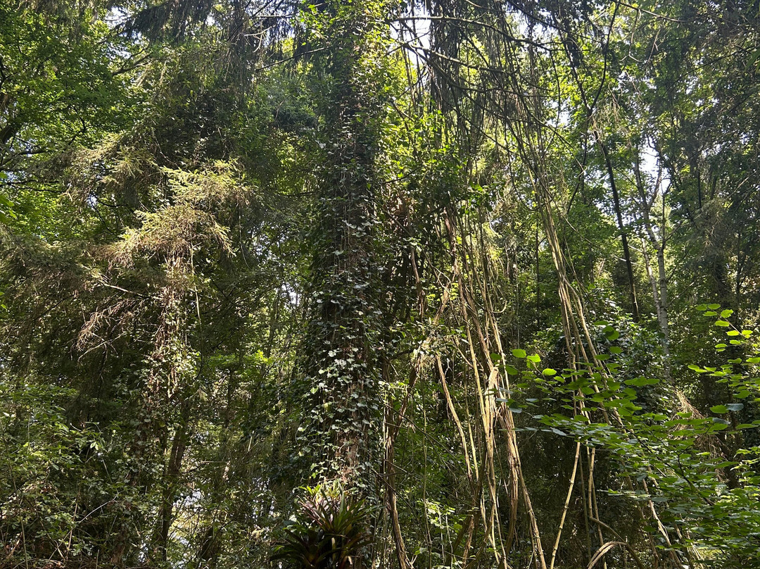 Jungle Garden-Eu必去景点