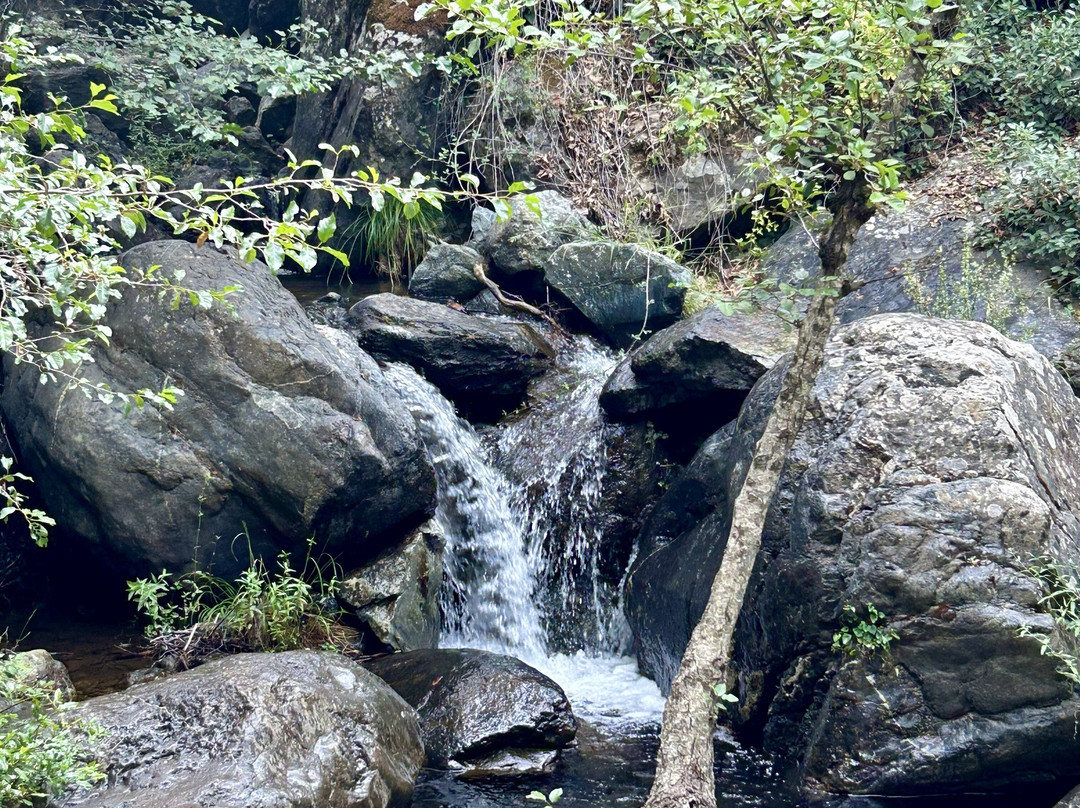 Caledonia Waterfall-帕拉翠斯必去景点