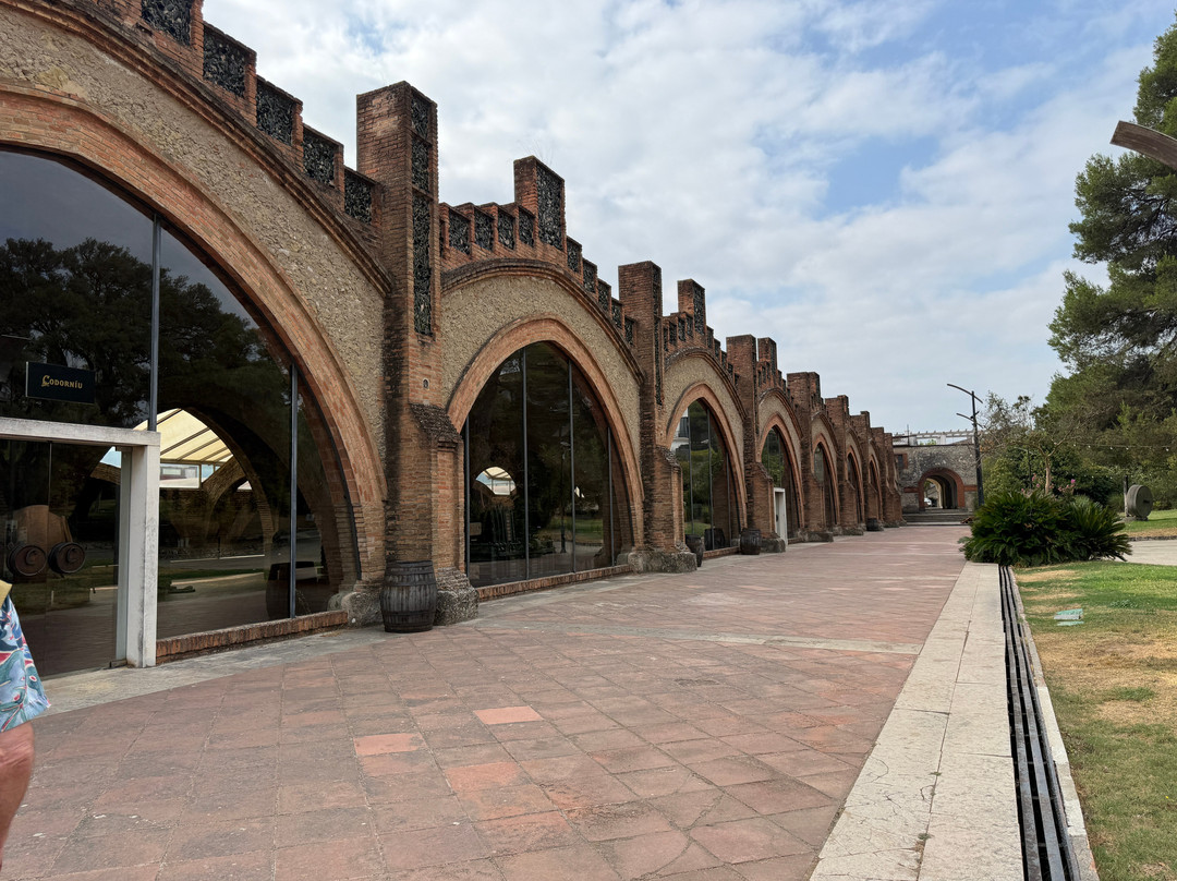Caves Anna d’ Codorniu-桑特萨杜尔尼达诺亚必去景点