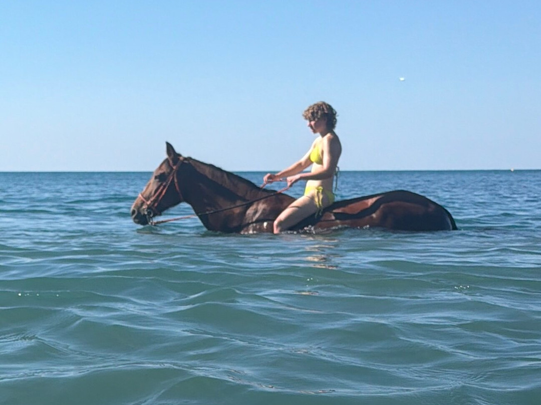 Laganas Horse Riding Center-扎金索斯必去景点