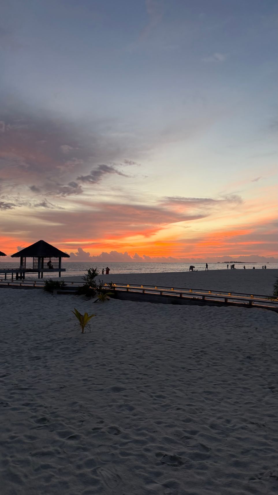 Cora Cora Maldives-旅行者