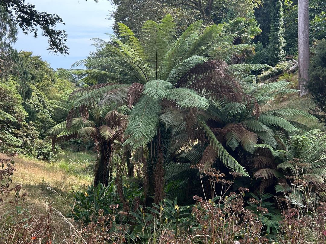 Glendurgan Garden-法尔茅斯必去景点