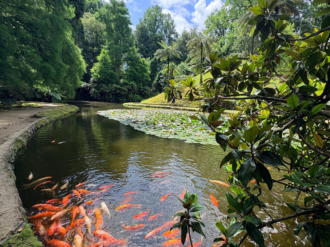 Parque Terra Nostra-富尔纳斯必去景点
