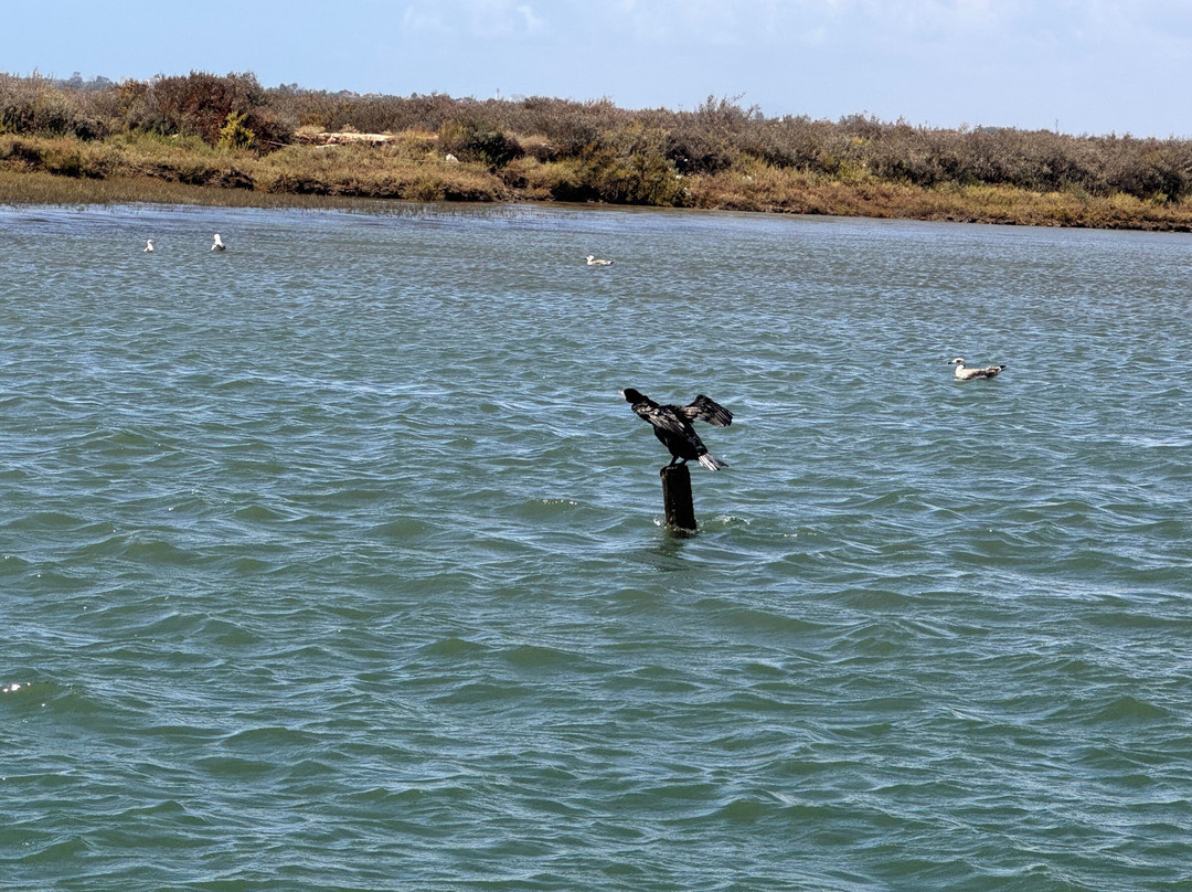 Excursiones Maritimas Isleñas Isla Canela-韦尔瓦必去景点