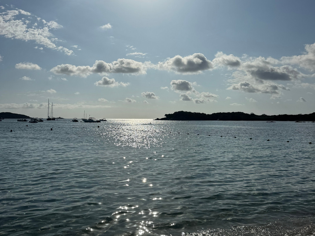 Plage Saint-Cyprien-维琪奥港必去景点