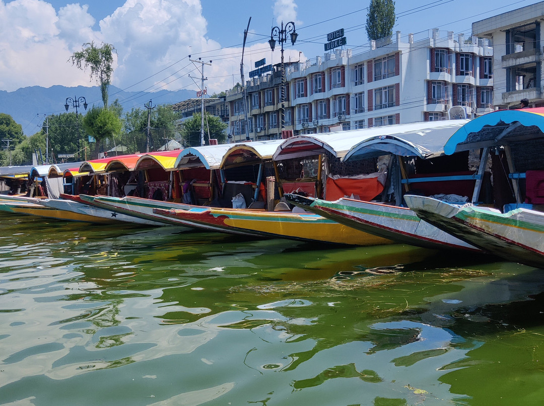 Dal Lake-斯利那加必去景点