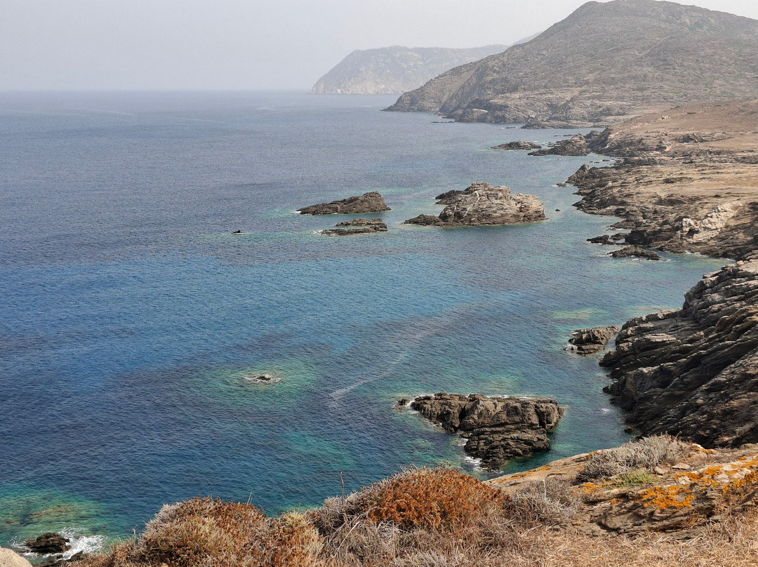 Wild Asinara Park-萨萨里省必去景点