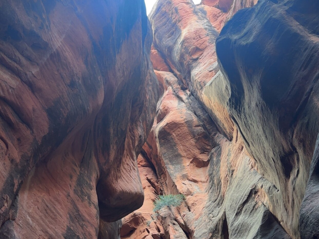 Kanarra Falls-Kanarraville必去景点