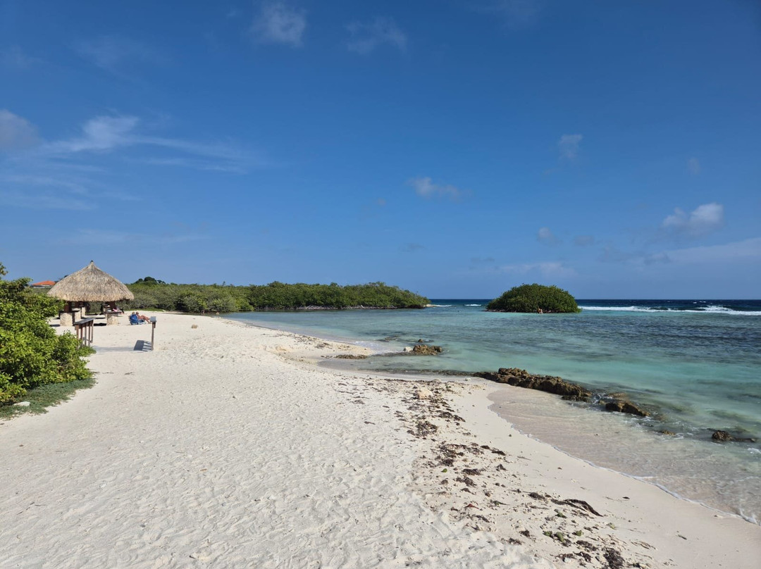 Mangel Halto Beach-萨瓦内塔必去景点