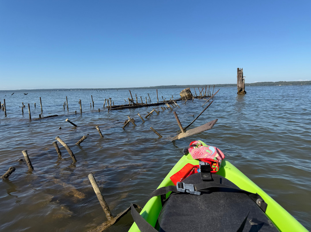 Mallows Bay-Potomac River National Marine Sanctuary-Nanjemoy必去景点