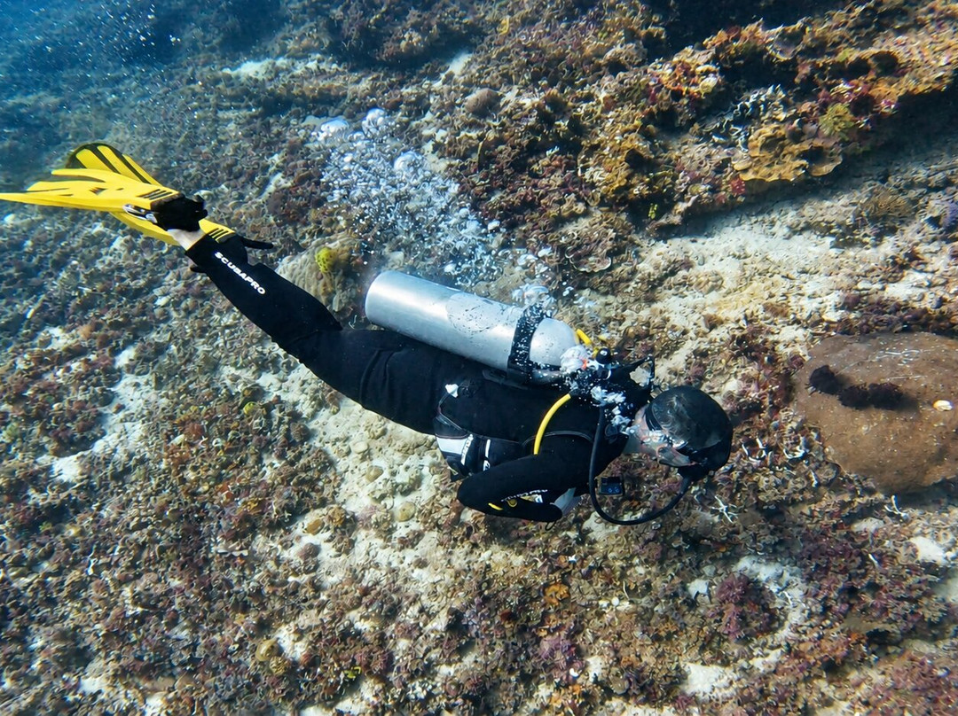 Blow Bubbles Divers-Desa Sekotong Barat必去景点