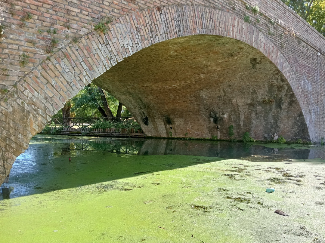 Il ponte dell'Accolta-Limigiano必去景点