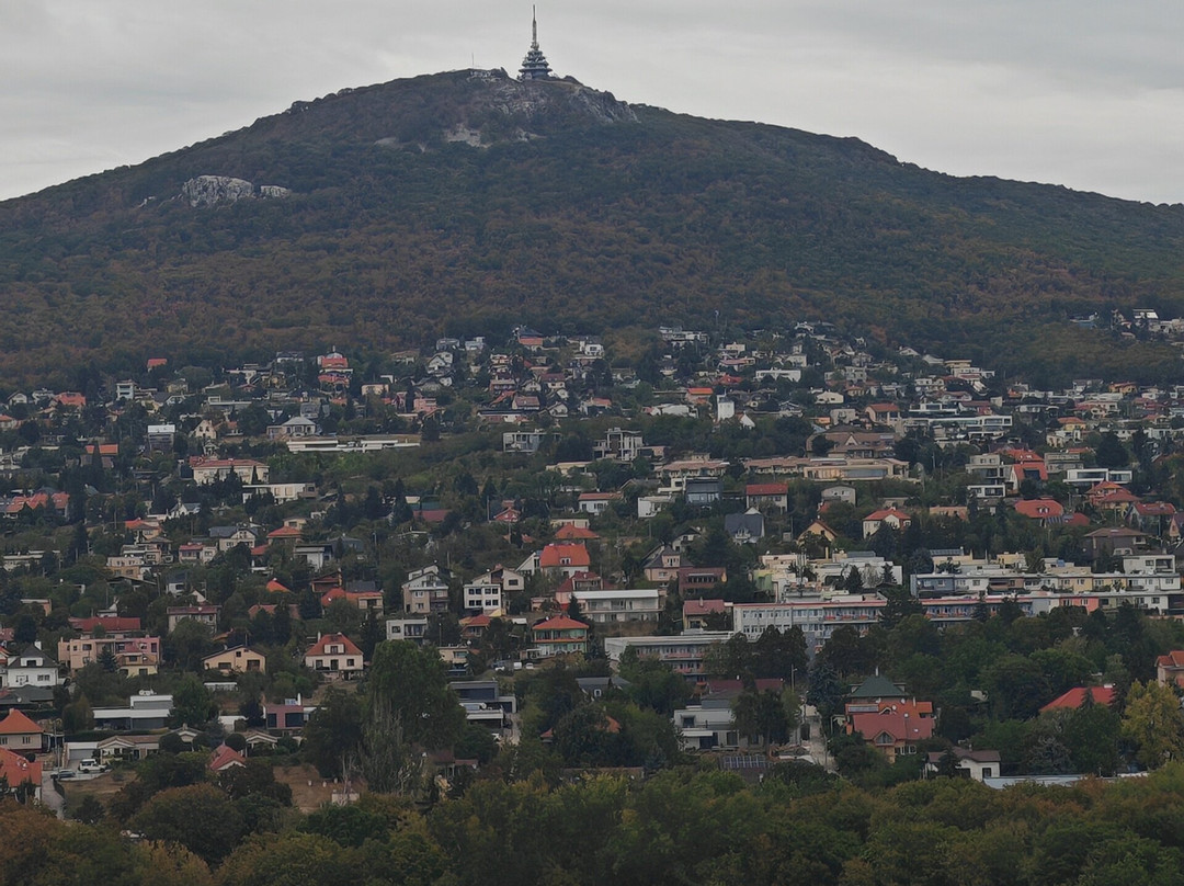 Nitra Castle-Nitra必去景点