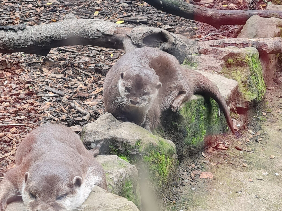 Ponderosa Zoo-Heckmondwike必去景点