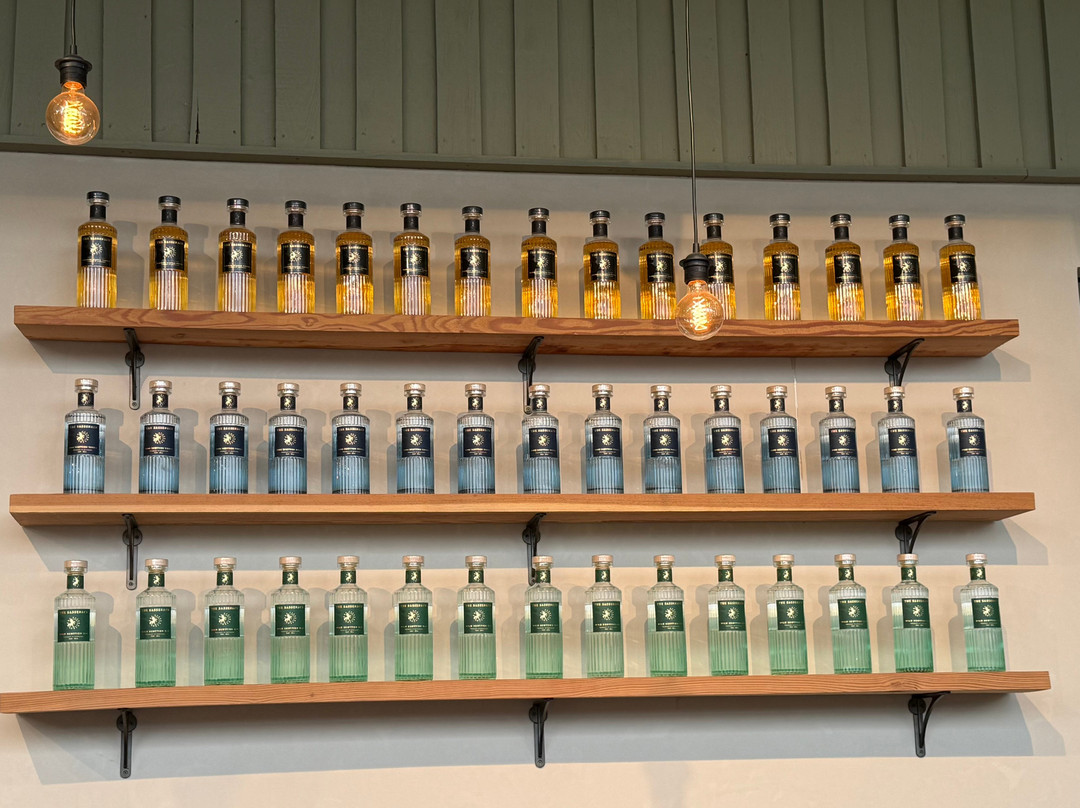 Galloway Distillery-Newton Stewart必去景点