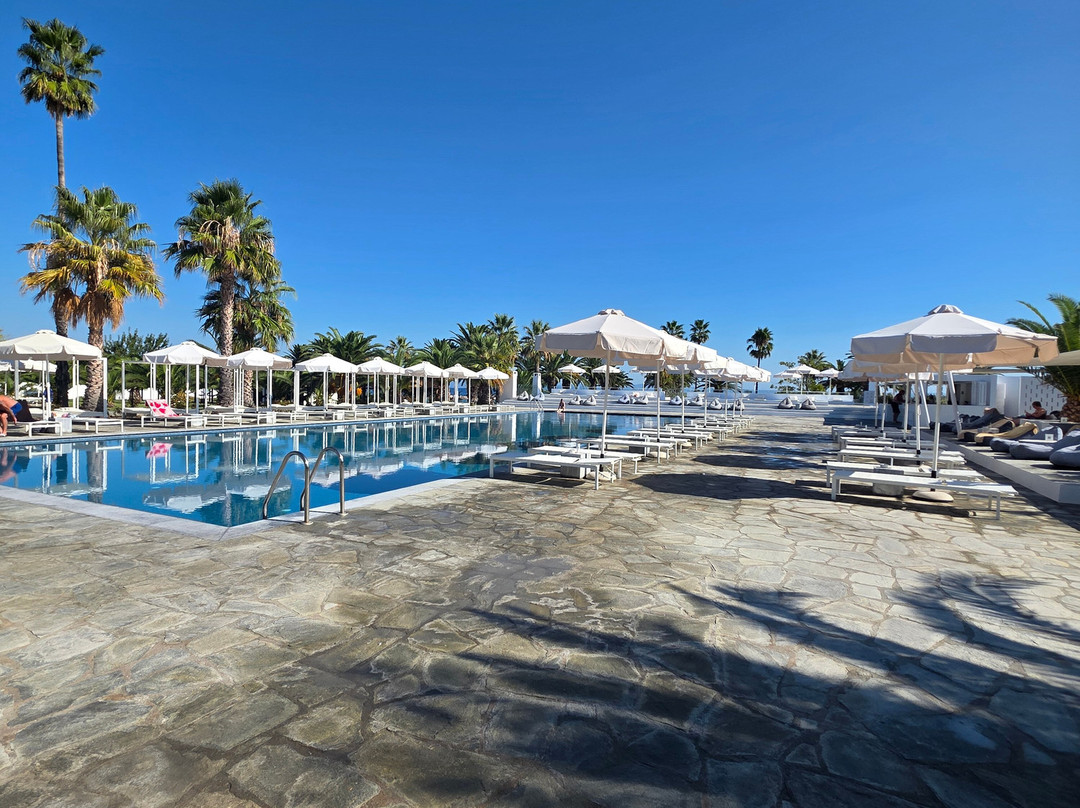 Kassandra Palace 海滨度假村主图