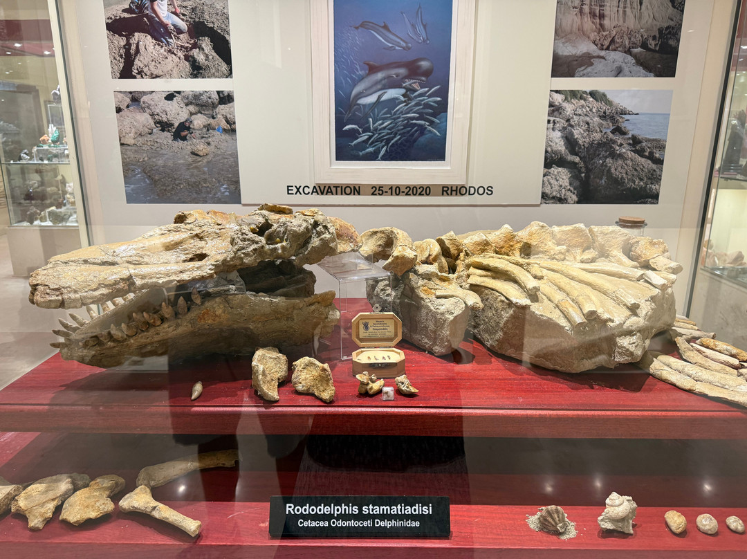 Museum of Mineralogy & Paleontology Stamatiadis-Ialysos必去景点