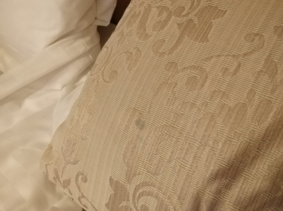 教练之家主图