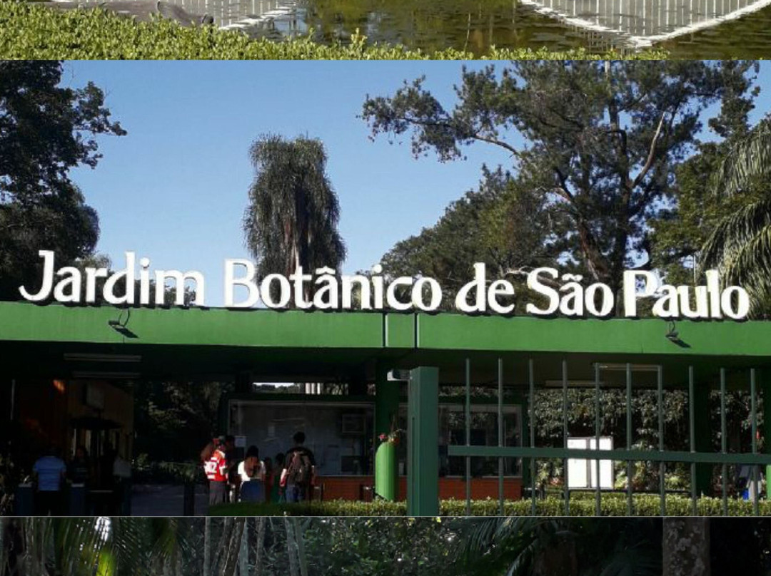 Jardim Botânico de São Paulo-圣保罗必去景点