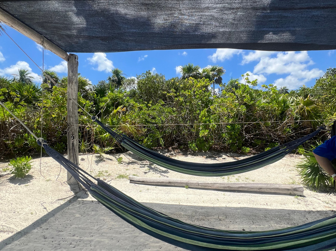 Cozumel Pearl Farm-考祖梅必去景点