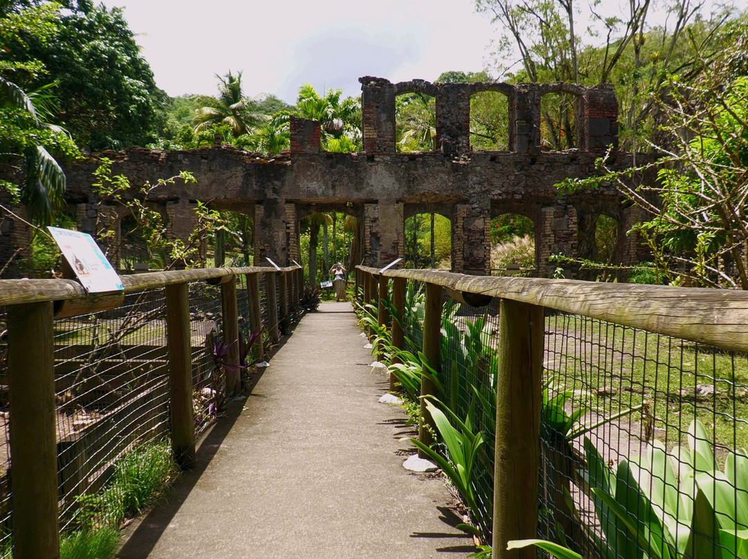 Zoo de Martinique-Le Carbet必去景点