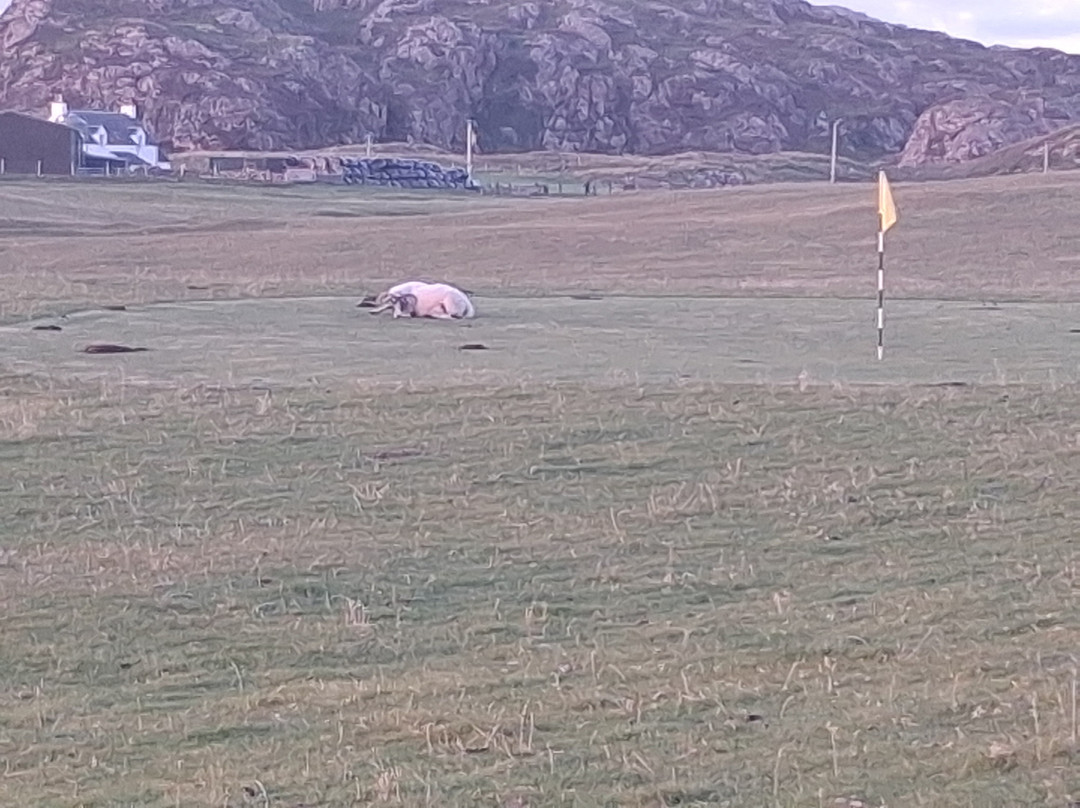Iona Golf Club-Isle of Iona必去景点