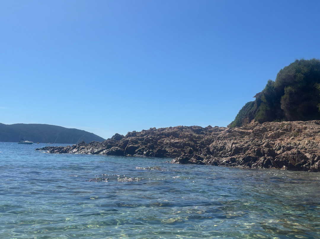 Plage d'Arone-Piana必去景点