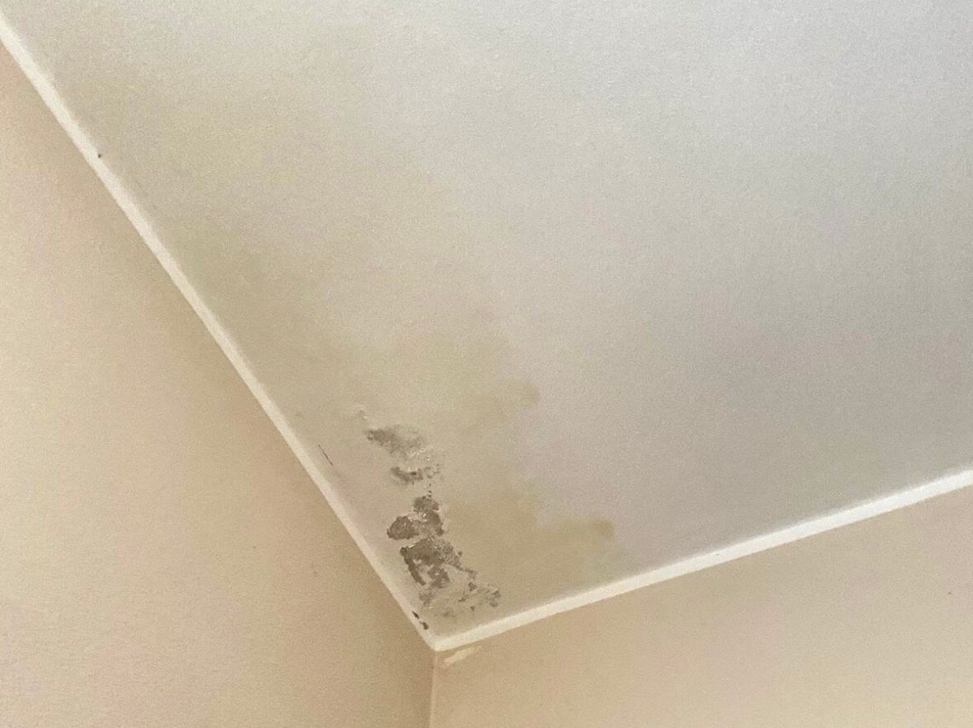 康帕席欧罗莱农庄主图
