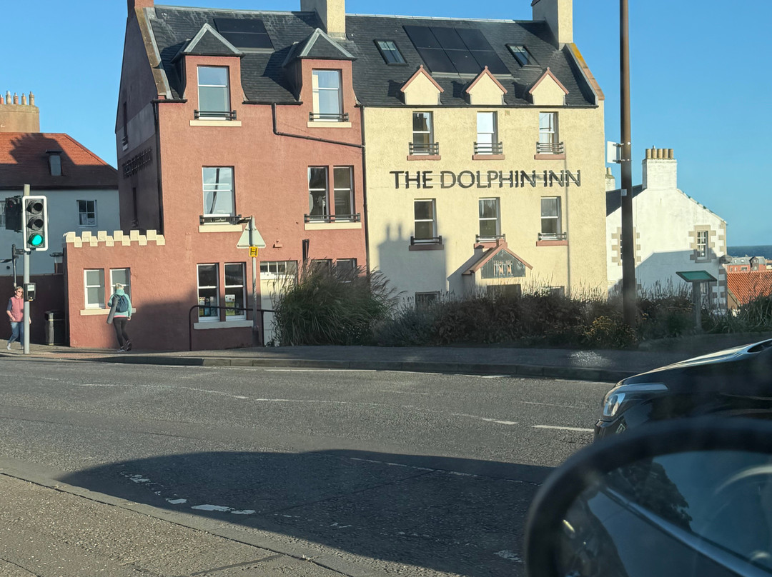 The Dolphin Inn Hostel主图